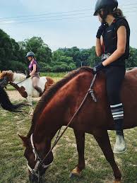 Pin De Kaleigh Pampell Em Horse
