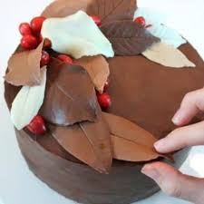 Publié le 12 décembre 2020 par manv. How To Make Chocolate Leaves Decoration Chocolat Deco Chocolat Decoration Gateau Facile