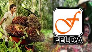 Decisions  felda is liable for negligence as felda owed duty of care towards the deceased as an occupier of the scheme and had breached the. Penangkini Peneroka Felda Sangkal Dakwaan Banyak Berhutang