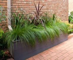 Raingardens Bulleen Art Garden Planters Soil Plants