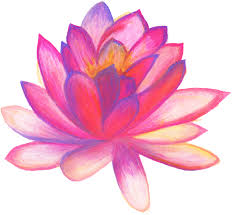 Hand drawn arrow png hand drawn heart png hand drawn circle png hand drawn laurel png white hand drawn arrow png hand drawn border png. Download Hand Drawn Flower Hand Drawn Flowers Png Full Size Png Image Pngkit