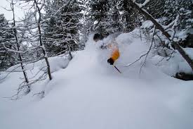 Skiing with your feet next to each other will create a larger surface area for the base of your skis. How To Ski Powder Elevation Alps
