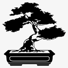 Aquí puedes ver el capítulo 1x10 de la serie amor en blanco y negro en español online y hd totalmente gratis. Sticker Bonsai Contemporain Ambiance Sticker Kc 9351 Dibujo Bonsai Blanco Y Negro Png Image Transparent Png Free Download On Seekpng