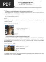 Image result for Vernonia lampropappa