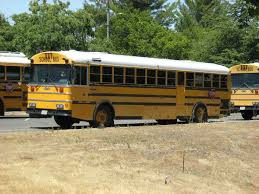 Image result for School Bus Yellow 1992 Fleet
