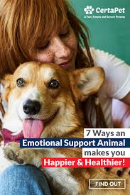 7 Reasons Why Long Before They Were Domesticated Dogs Have Been Our Companions Travel Buddies And Best Friends Emotional Support Animal Support Dog Dogs