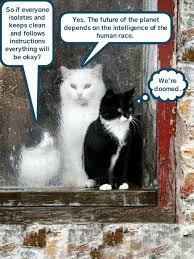 So we have found the funniest cat memes on the internet, for your personal enjoyment. Grumpy Cat S Protege Lolcats Lol Cat Memes Funny Cats Funny Cat Pictures With Words On Them Funny Pictures Lol Cat Memes Lol Cats