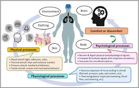 We are focused on using innovative processes, technologies & materials to manufacture the finest products at an. Evaluation Of Perceived Comfort And Functional Performance Of Activewear Sciencedirect