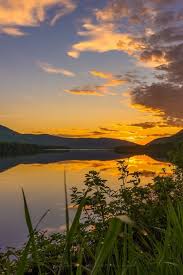 Steven COATES Obituary