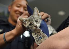 Max Ortiz, award-winning photojournalist, dies at 58