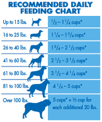 How To Train A Puppy To Stop Biting Hands Dog Feeding Chart
