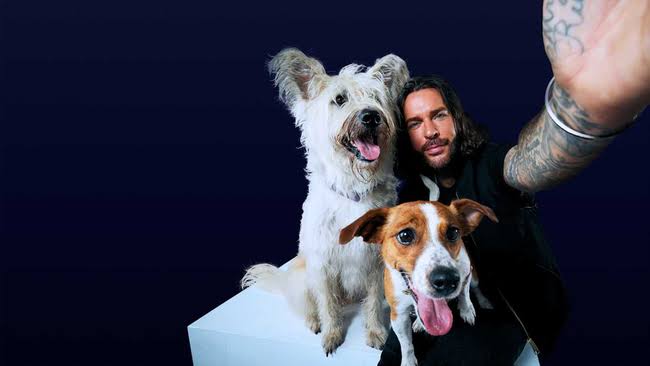 Pete Wicks: For Dogs' Sake TV Listings UK | Next Episode, TV Times &  Channels | MyTelly
