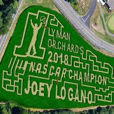 American cancer society research staff. Lyman Orchards To Open Corn Maze In September For 70s Rock And Roll Fun