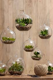 Terrarium Comment Faire Un Terrarium Accrocher Les Plantes D Air Deco Plantes Comment Faire Un Terrarium