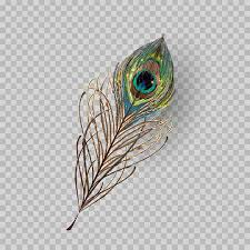 Embroidery peacock feathers seamless pattern. 43 222 Peacock Feather Stock Photos And Images 123rf