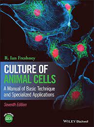 Animal cell culture in english. Culture Of Animal Cells A Manual Of Basic Technique And Specialized Applications English Edition Ebook Freshney R Ian Amazon De Kindle Shop