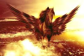 Es könnte absicht sein, dass andrzej sapkowski dem lebenslustigen barden rittersporn einen wallach als pferd gegeben hat. Bedeutung Der Krafttiere Der Pegasus