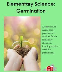 Elementary Science Germination