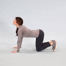 Yoga poses/asanas involve contractions of specific muscles and focusing on strengthening specific areas of the body. Yoga For Neck Pain 5 Moves To Try