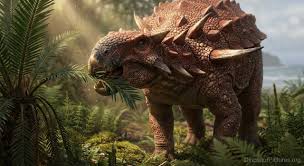 Image result for Acanthopale