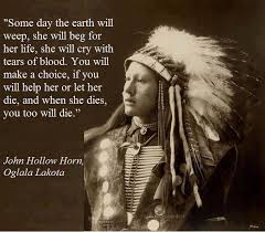 Pin By This Is Zero Hour Listen To T On Save Our Earth Native American Quotes Native American Wisdom American Quotes