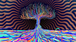 We did not find results for: Trippy Laptop Wallpapers Top Free Trippy Laptop Backgrounds Wallpaperaccess