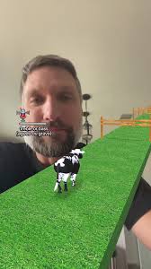 Is this going to be my last TikTok? 😂😂