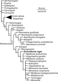 A New Late Cretaceous Snake From Patagonia Phylogeny And