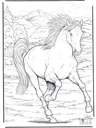 Voici un coloriage gratuit de princesse en balade sur son cheval. Coloriages De Chevaux Et Poneys Coloriages Pour Enfants