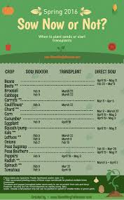 Chart To Help You Know What Vegetable Seeds Should Be
