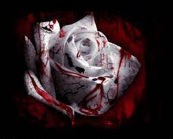 Free blood wallpapers and blood backgrounds for your computer desktop. Blood Wallpapers Hd For Desktop Backgrounds