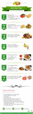 general motors diet plan video review get the meal plan