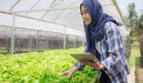 Mereka yang memiliki golongan darah a juga memiliki pesona. Ini Dia 3 Strategi Menumbuhkan Minat Petani Milenial Star Farm International