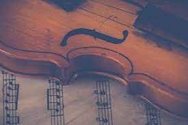 On okcupid, you're more than just a photo. Viola Strings A Complete Guide 2020 Best Music Instruments Tools
