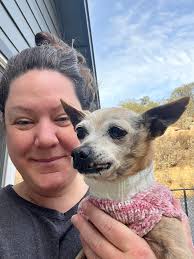 Project dogs can learn to love other dogs