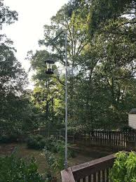 These 20+ easy, cheap, diy bird feeder plans show how you can feed your feathered friends in style using recycled materials and inexpensive supplies. How To Make A Squirrel Proof Bird Feeder Pole Chatfield Court