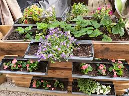 Palettenregal Mit Erdbeeren Und Blumen Blumen Regal Garten Blumen