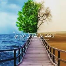 رعد محمد الكردي آيات من سورة الانبياء Facebook