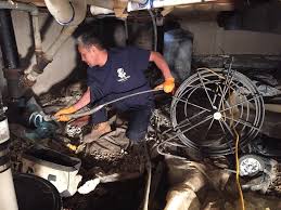 We did not find results for: Emergency Plumber Rockville Md Captain Rooter Emergency Plumbers Chicago