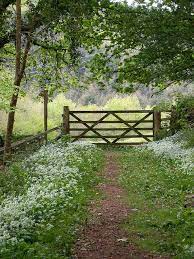 Driving Down The Country Lane To Check On The Cows Landscape Garden Gates Dream Garden