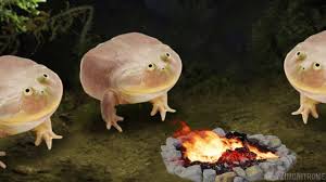 Breaking hews it is wednesday my dudes! The Wednesday Ritual Youtube