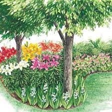 Colorful Shade Garden Shade Garden Shade Perennials Shade Plants