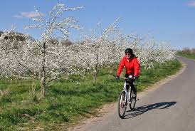 Nette Obst Radrunde Radtour Outdooractive Com