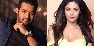 Meera's kollywood debut was with the 2005 film anbe aaruyire, in which she starred with s. Meera Chopra Shocked By Abuse For Not Being Junior Ntr S Fan Desiblitz