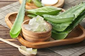 Schlagwörteraloe vera, aloe vera maske, aloe vera maske selber machen, aloe vera maske selbstgemacht, diy workshop mannheim, feuchtigkeitsspendende gesichtsmaske, gesichtsmaske, grüne kosmetik, malina's wohlfuehlrezepte, naturkosemtik selbermachen, naturkosmetik heidelberg. Aloe Vera Gel Selber Machen So Einfach Geht S Brigitte De