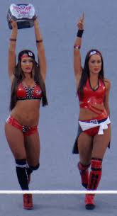 John cena and nikki bella stay true to their promise. The Bella Twins Wikipedia