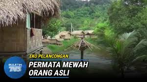 Hotell nära eko pelancongan kg melangkap tiong, kota belud: Eko Pelancongan Kuala Mu Permata Berharga Orang Asli Buletin Tv3