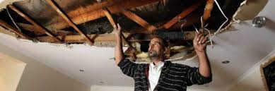 We're going to help you compare led vs halogen, cfl, and tungsten. The Dangers Of Halogen Downlights Westline