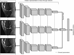 Convolutional neural networks are distinguished from other neural networks by their superior performance with image, speech, or audio signal inputs. Mrnet Architecture The Mrnet Is A Convolutional Neural Network Cnn Download Scientific Diagram