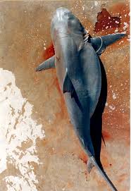 The first is the connection between fish and their habitats. 17 Biggest Fish Ever Caught Meet The Giants